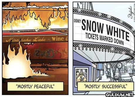 Liberal mentality   ...