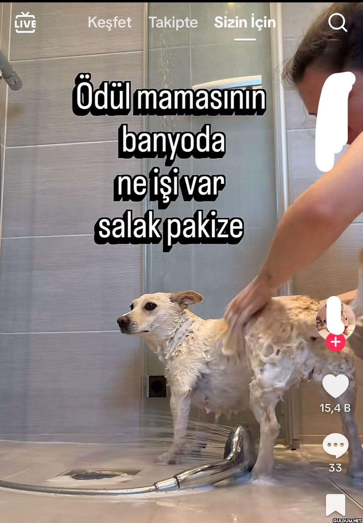 LIVE Keşfet Takipte Sizin...