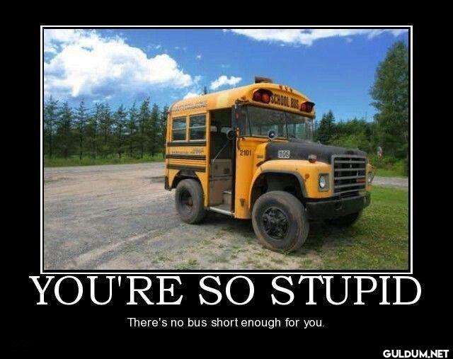 YOU'RE SO STUPID There's...