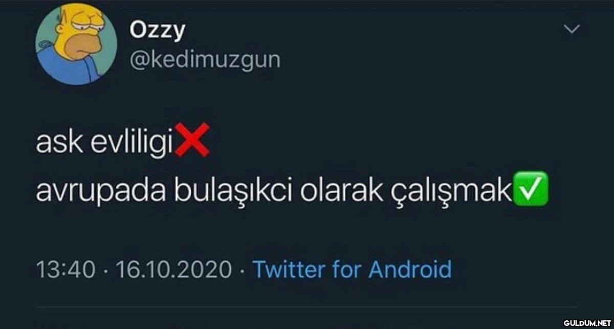 Ozzy @kedimuzgun ask...