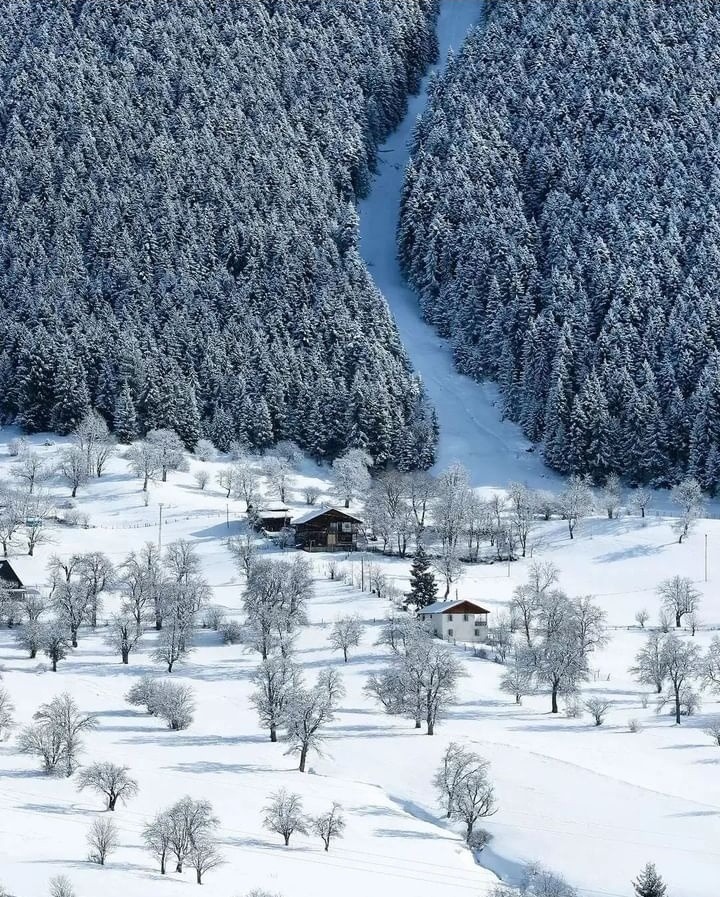 Artvin....