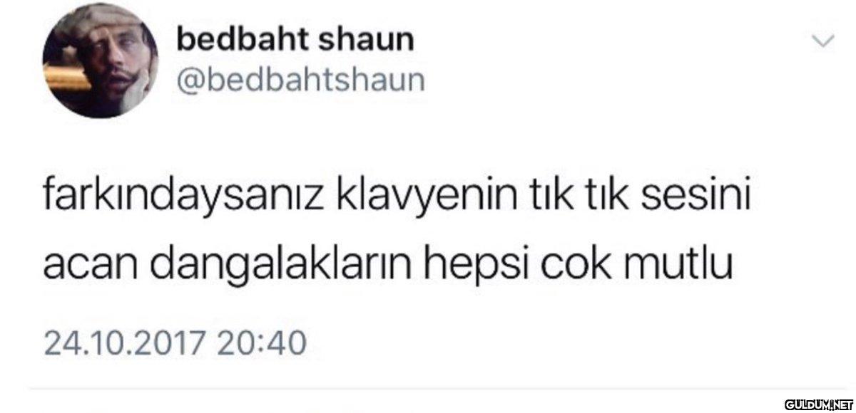 bedbaht shaun...