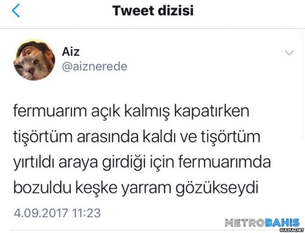 Aiz Tweet dizisi...