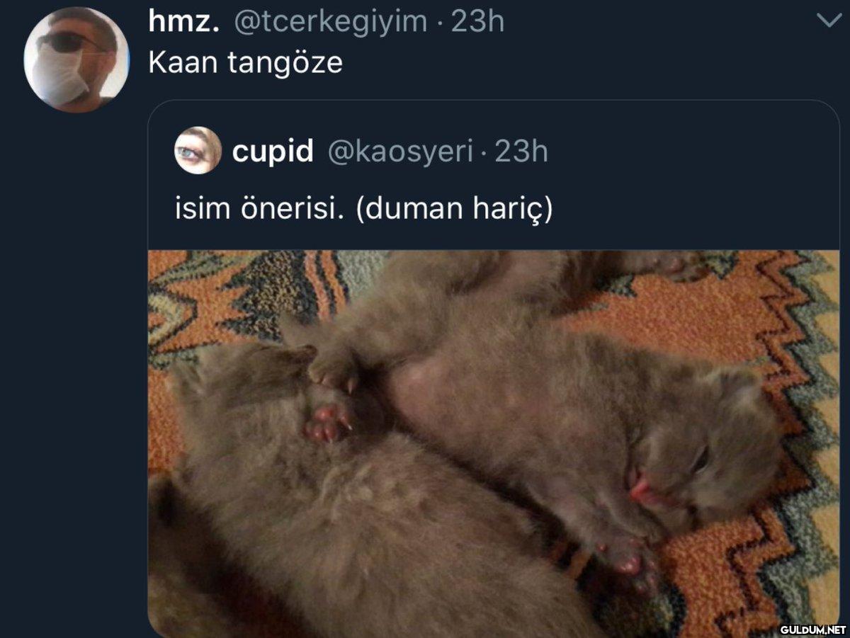 hmz. @tcerkegiyim - 23h...