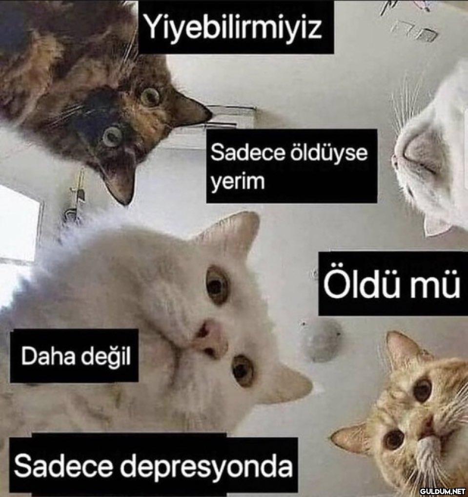 Daha değil Yiyebilirmiyiz...