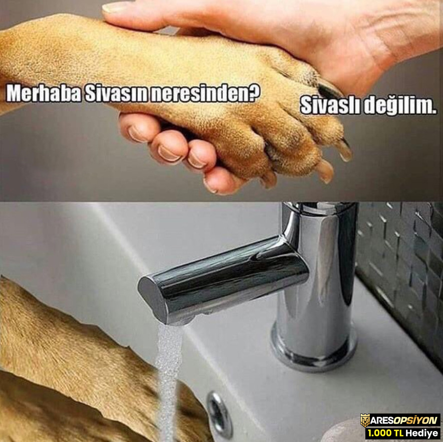Merhaba Sivasın...