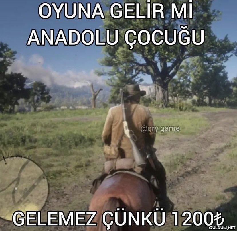 OYUNA GELİR Mİ ANADOLU...