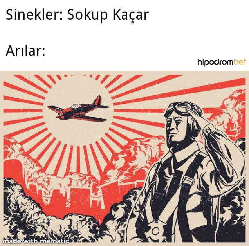 Sinekler: Sokup Kaçar...
