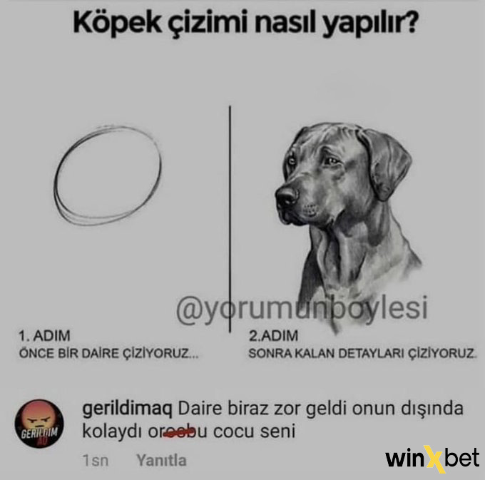 Köpek çizimi nasıl...