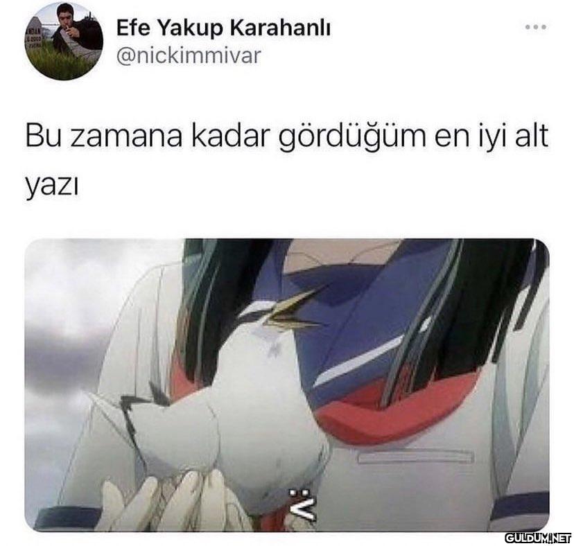 Efe Yakup Karahanlı...