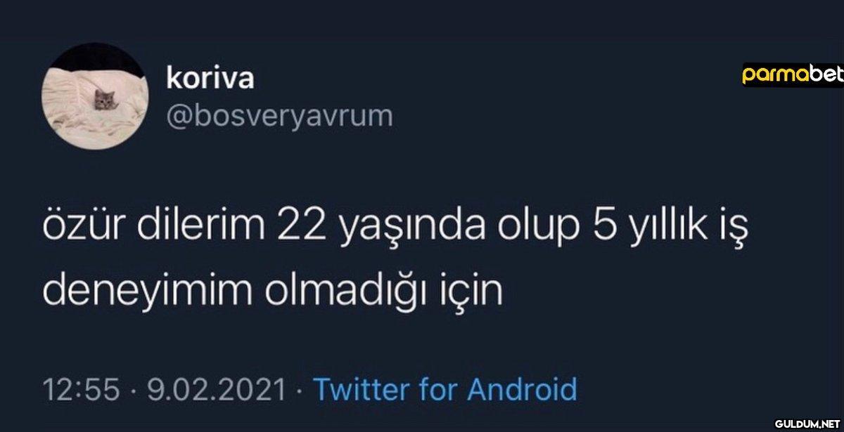 koriva @bosveryavrum...