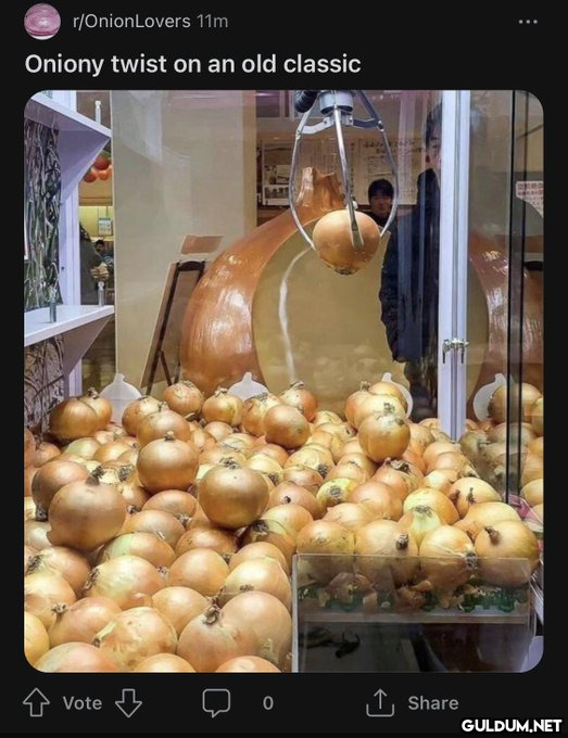 r/Onion Lovers 11m Oniony...