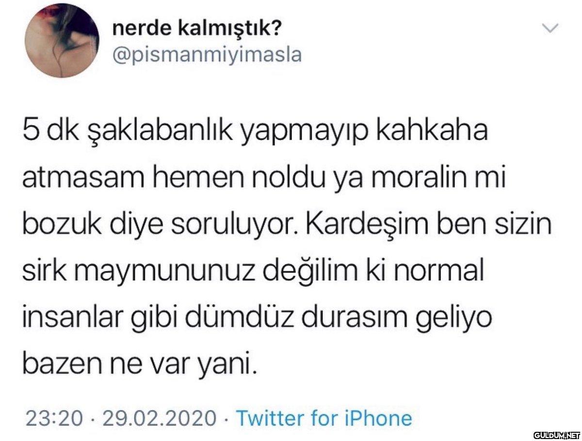 https://t.co/IeWZCGr41E  ...