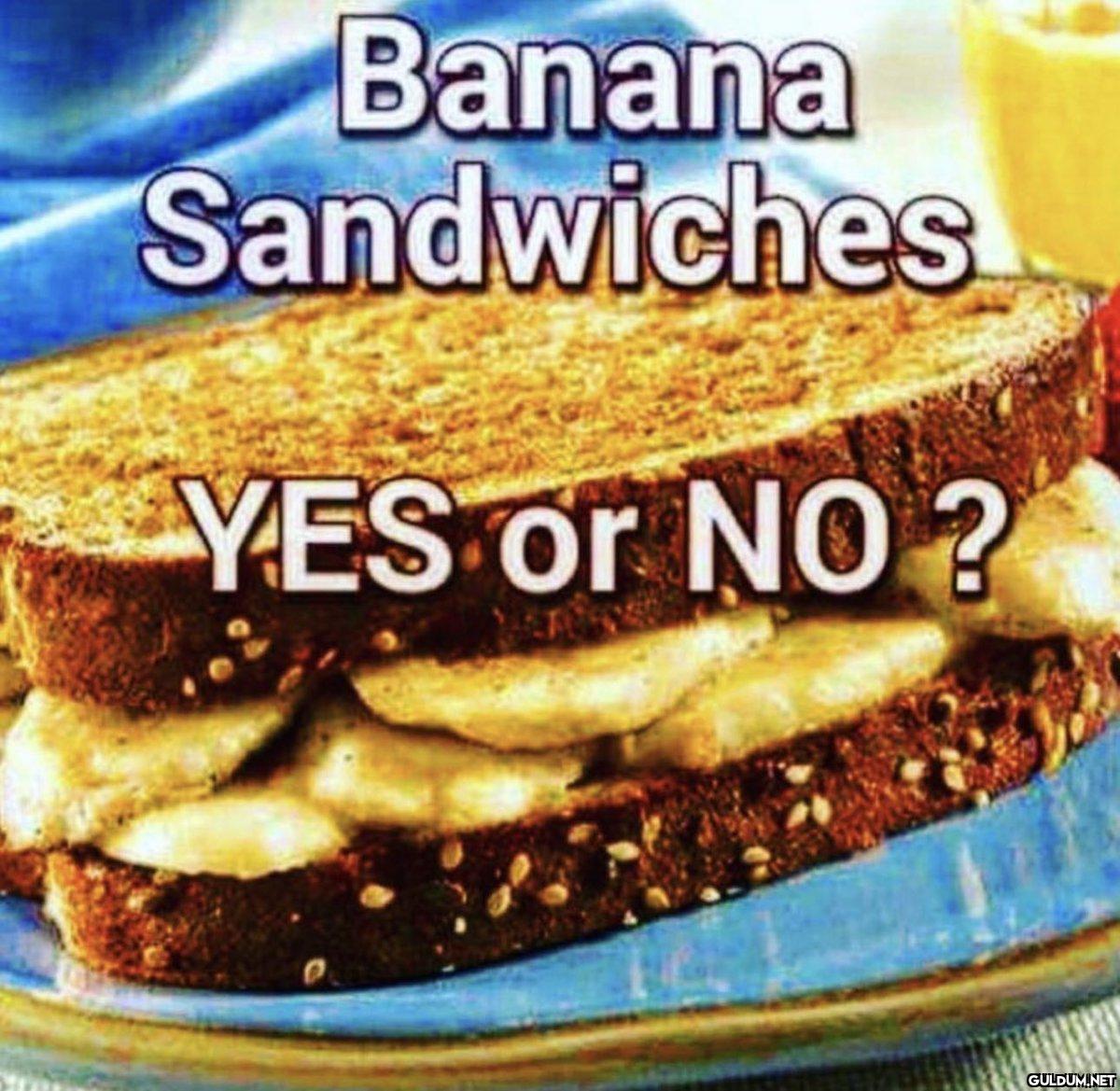 Banana Sandwiches YES or...