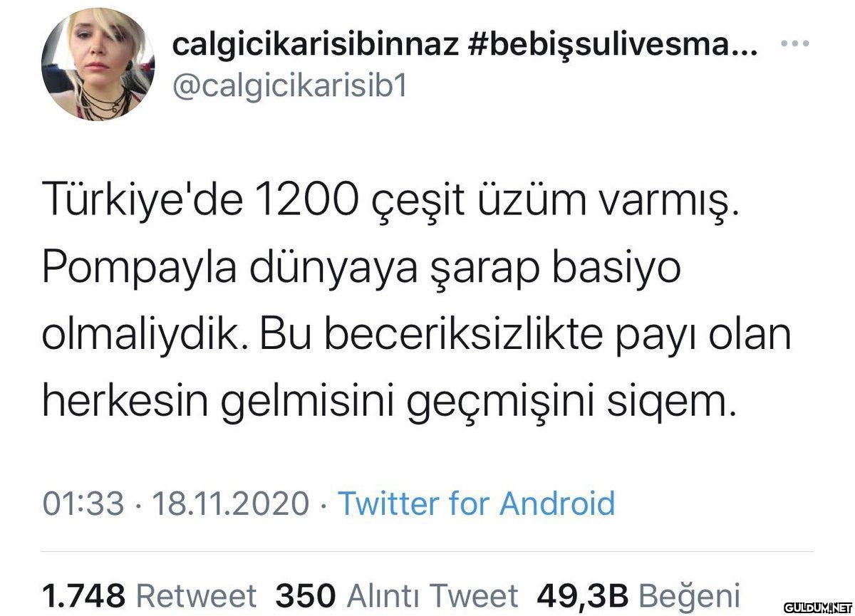 calgicikarisibinnaz...