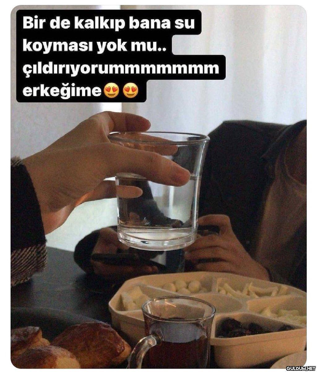 Bir de kalkıp bana su...