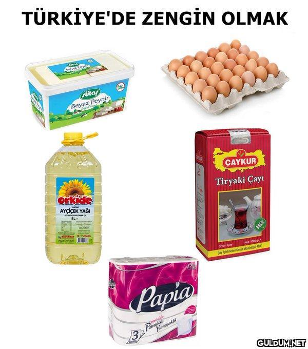 TÜRKİYE'DE ZENGİN OLMAK...