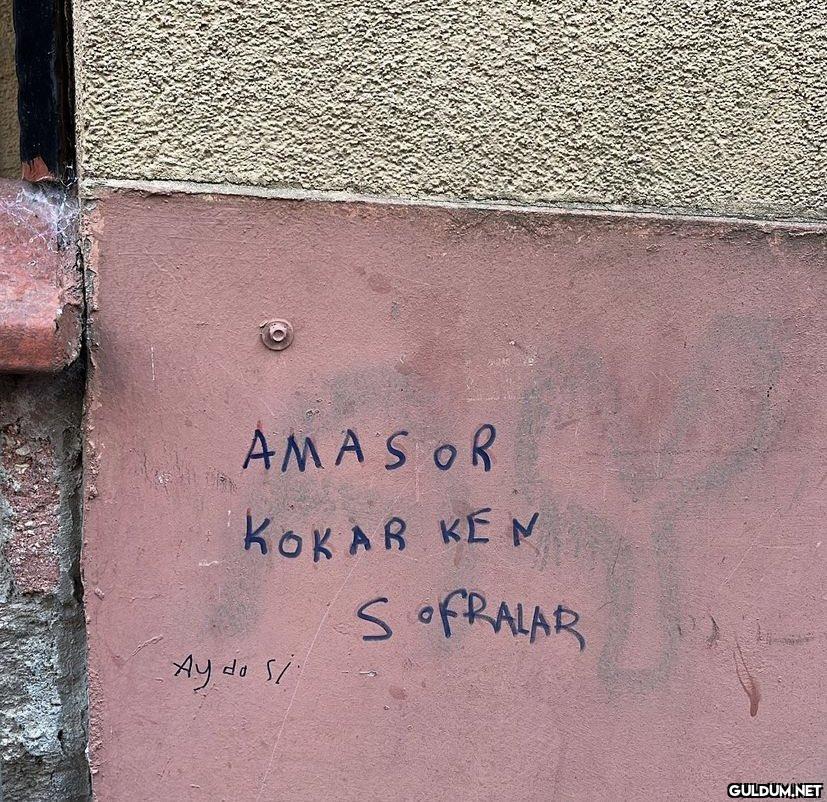 Bilmediğim şarkıları...