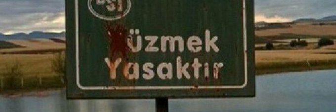 alnıma yazcam...