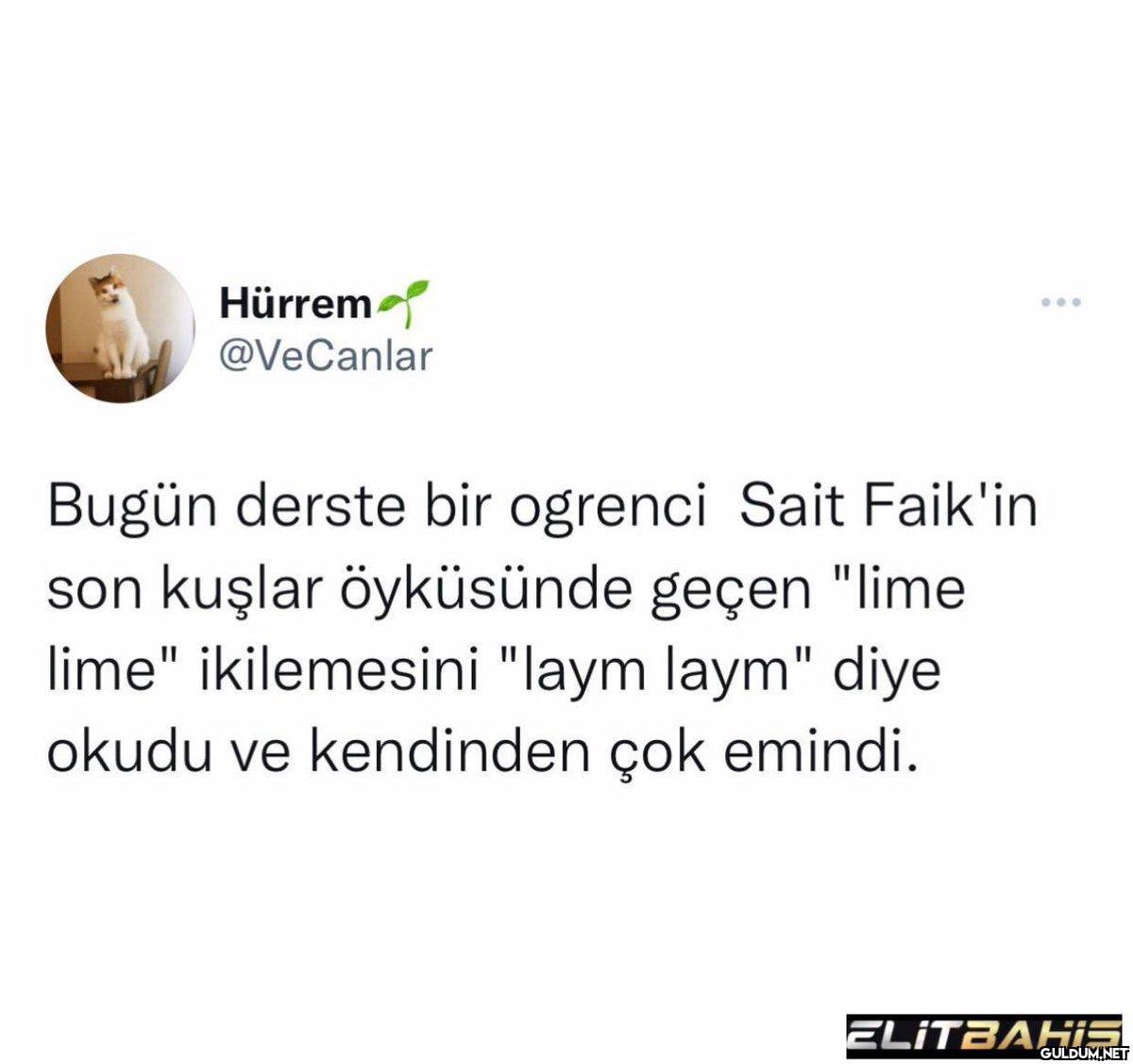 Hürrem @VeCanlar Bugün...