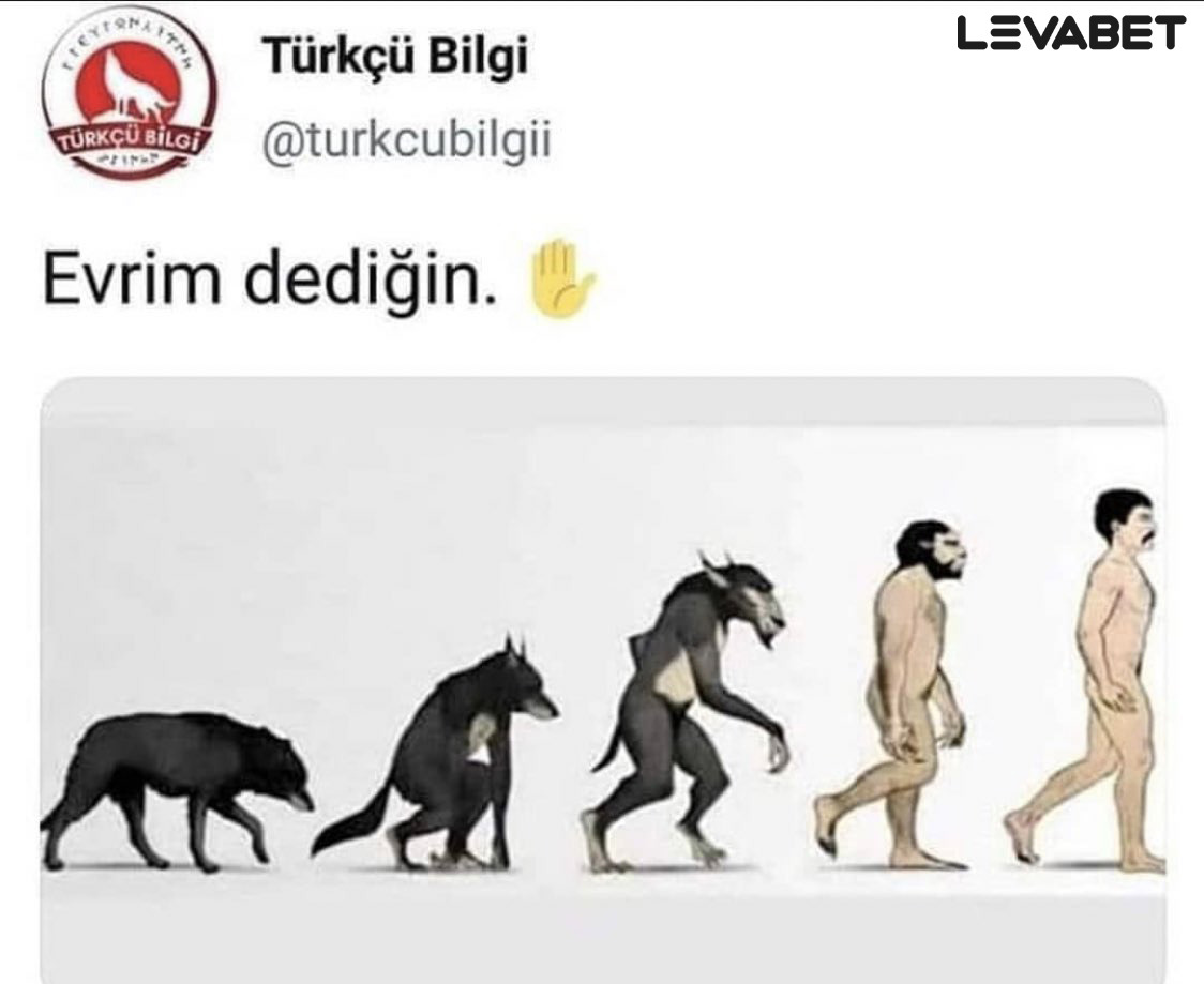 Türkçü Bilgi TÜRKÇÜ BİLGİ...