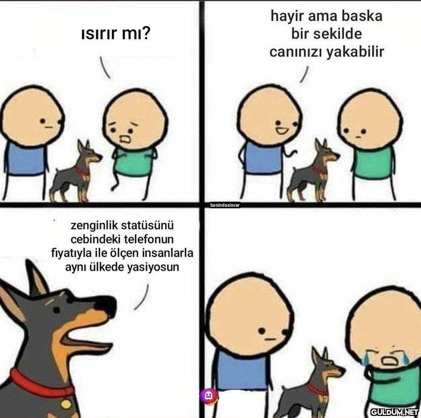 Isırır mı? 1 1.0 zenginlik...