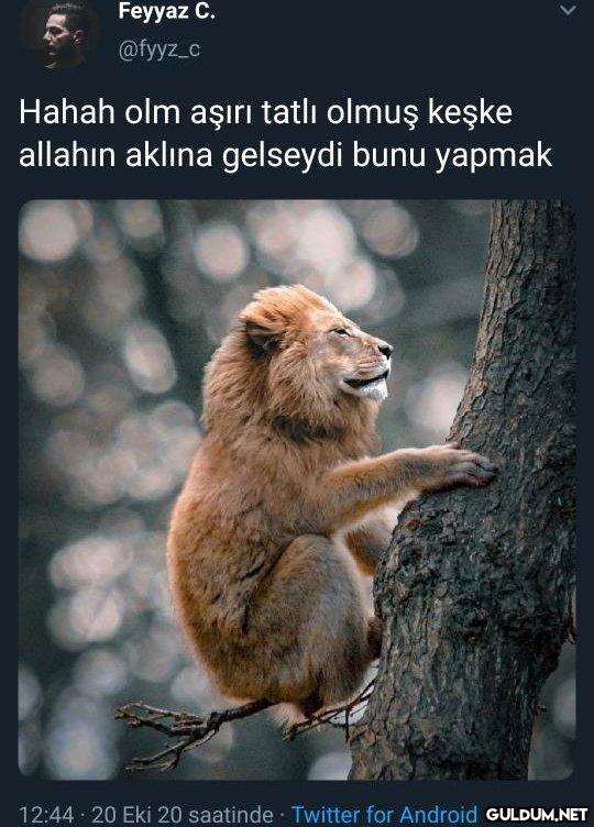 Feyyaz C. @fyyz_c Hahah...