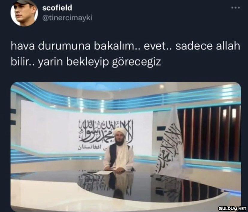 scofield @tinercimayki...