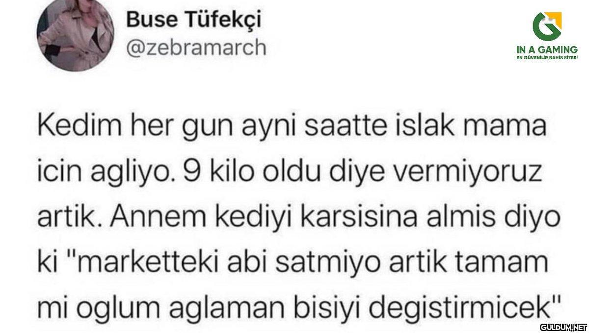 Buse Tüfekçi @zebramarch G...