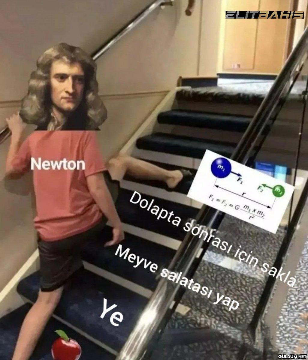 Newton ELITBAHS Ye m₁...