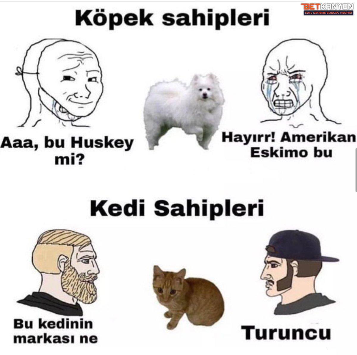 Köpek sahipleri Aaa, bu...