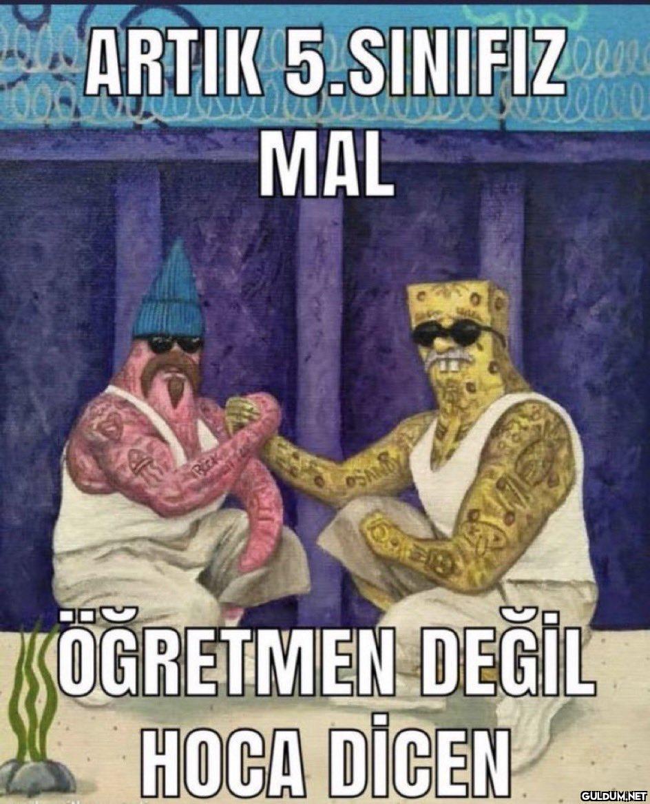 ARTIK 5.SINIFIZ MAL DC...