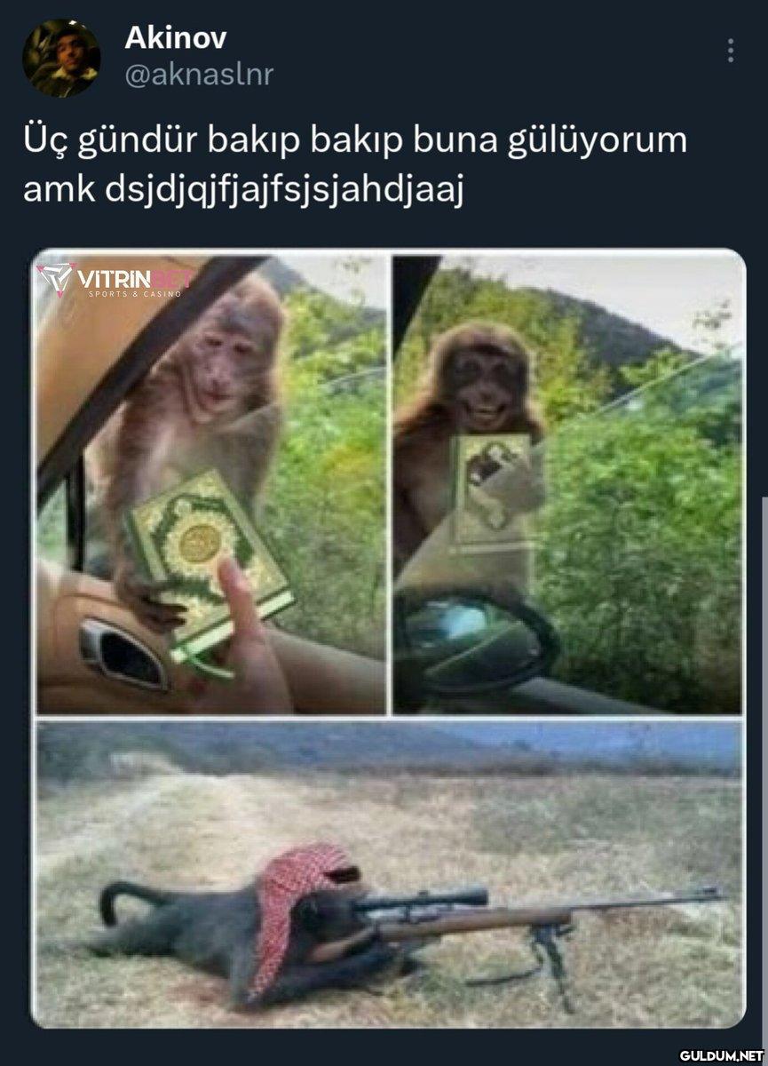 Akinov @aknaslnr Üç gündür...