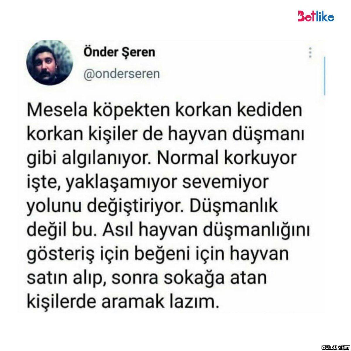 Önder Şeren @onderseren...