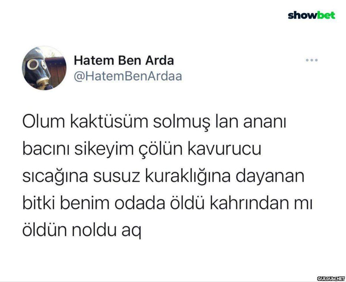 Hatem Ben Arda...