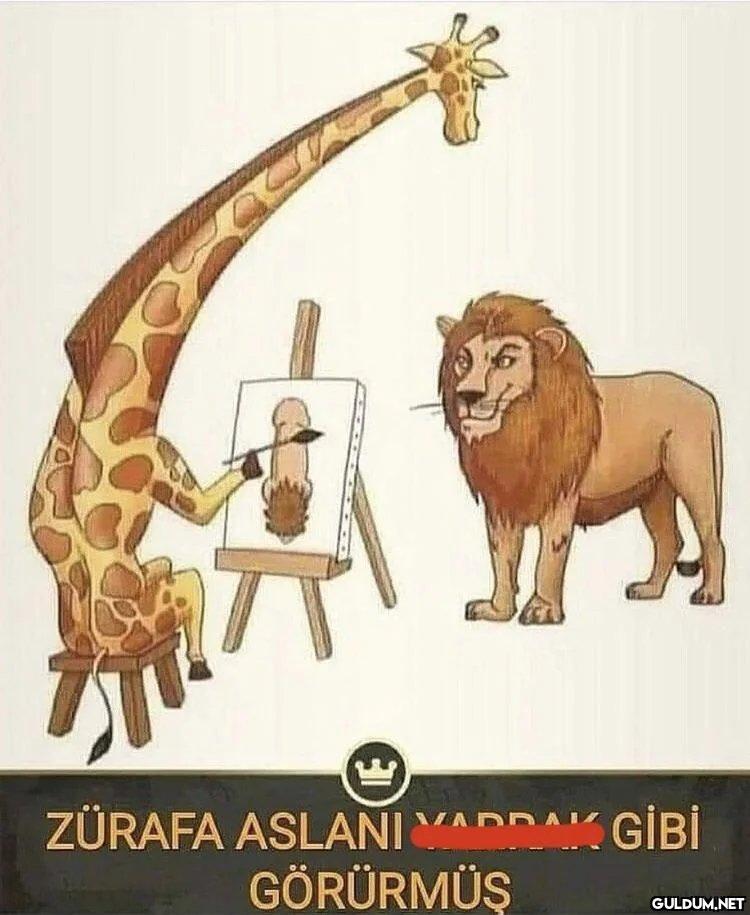 https://t.co/N4iBpUoBrm  ...