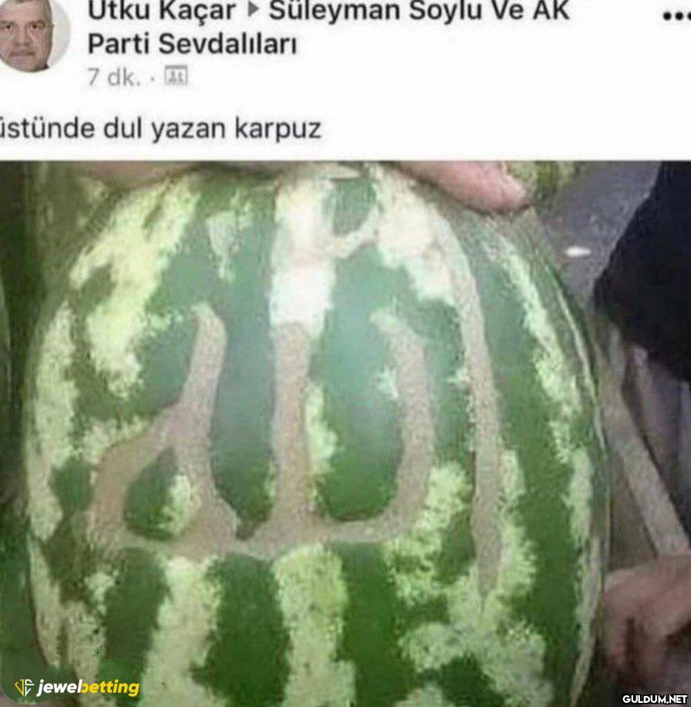 Utku Kaçar Süleyman Soylu...