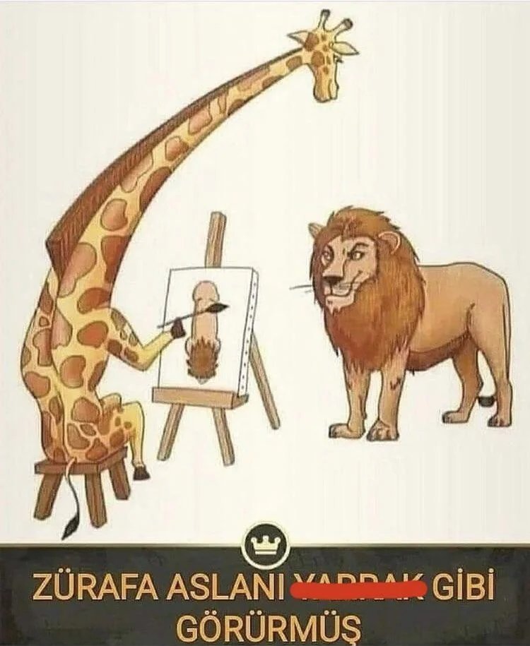 E ZÜRAFA ASLANI VAAK GİBİ...