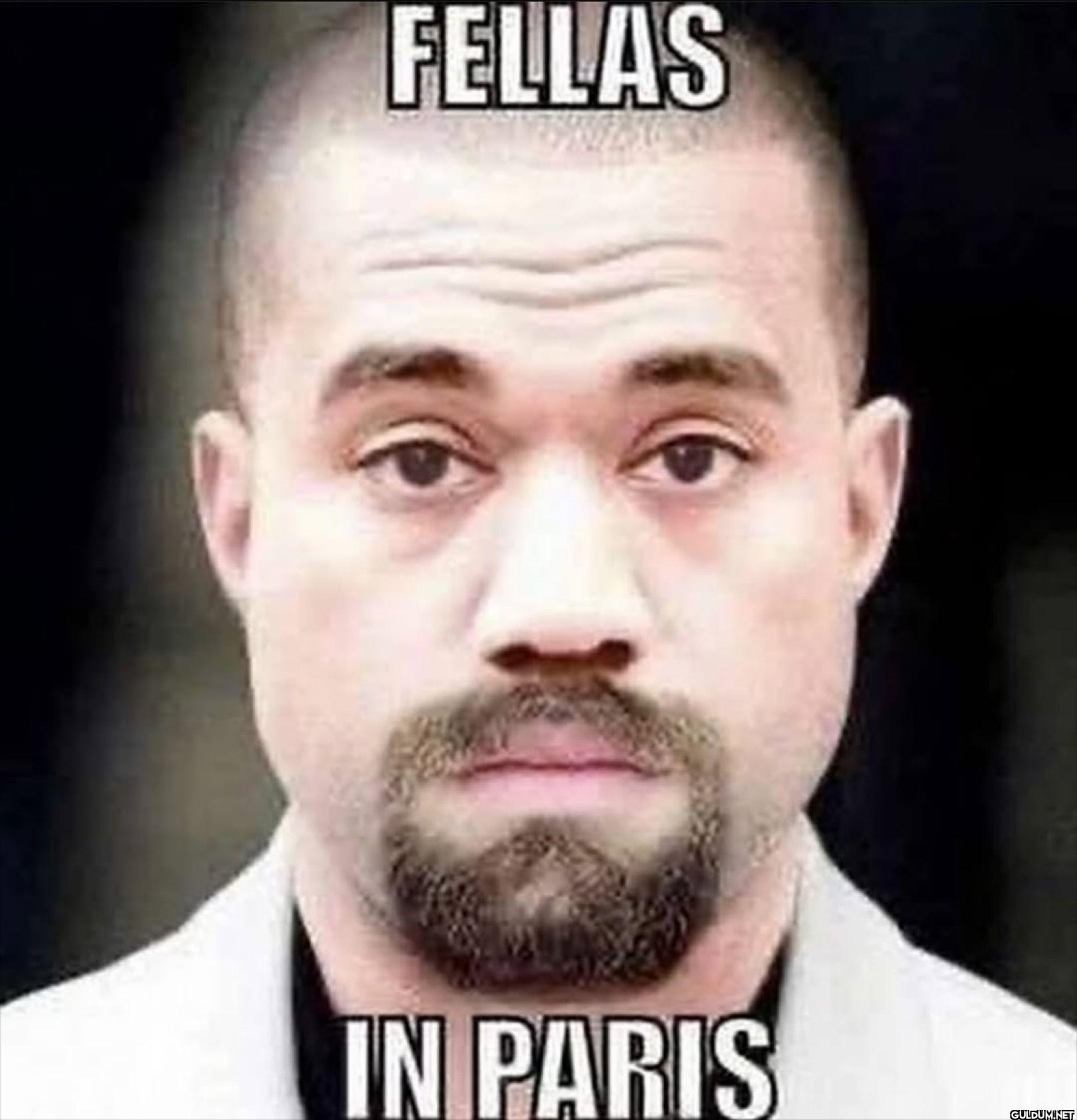 FELLAS IN PARIS