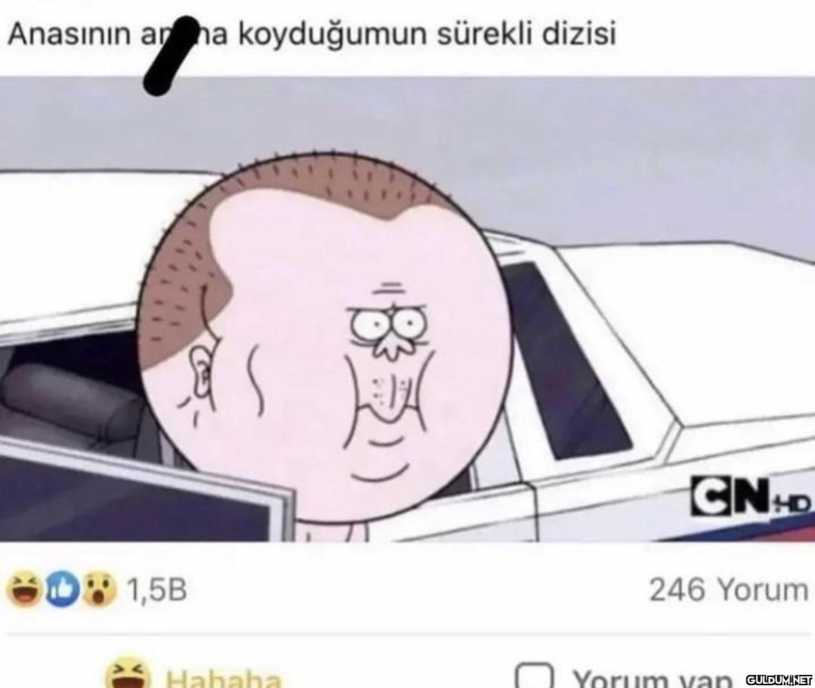 Anasının ar na koyduğumun...