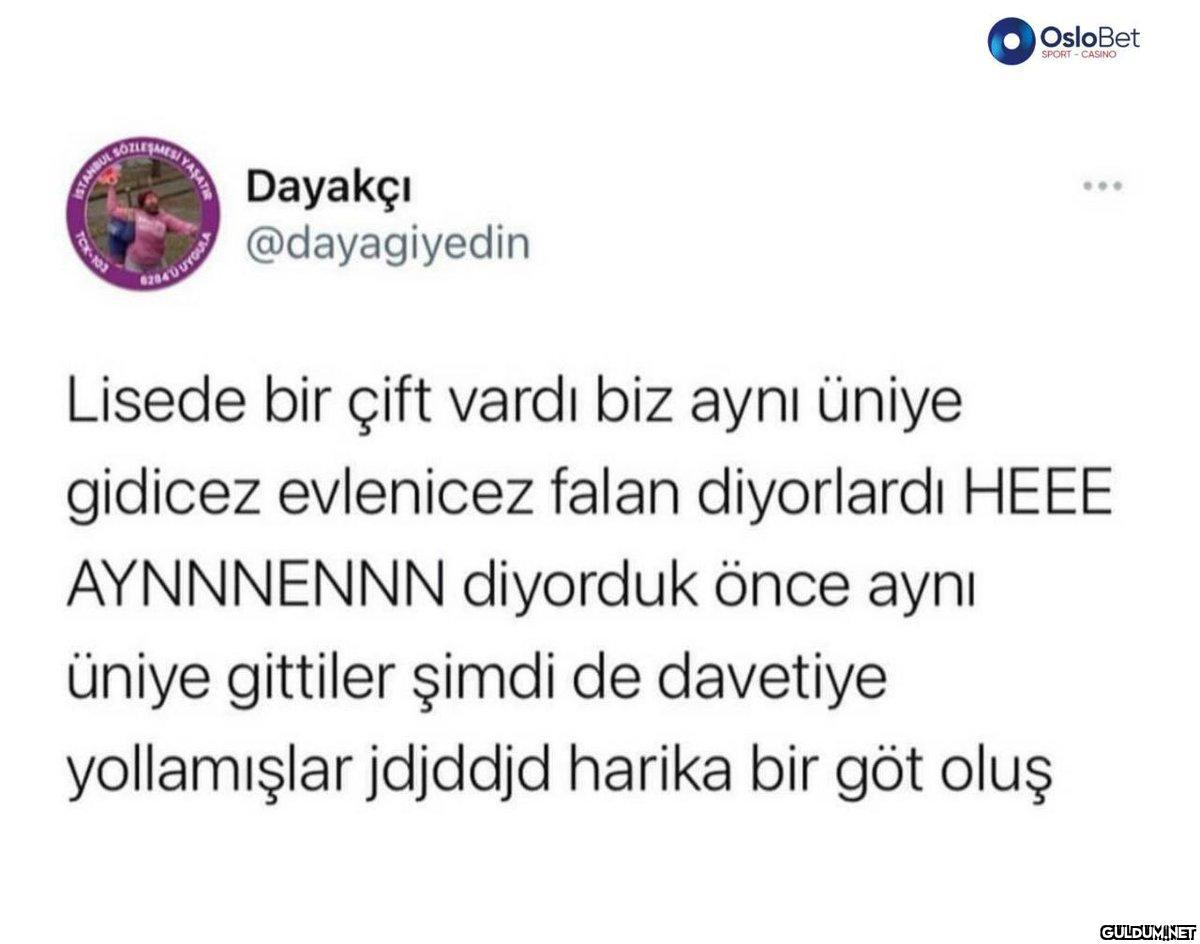 Tek-13 N BOZLESMES 0284 D...
