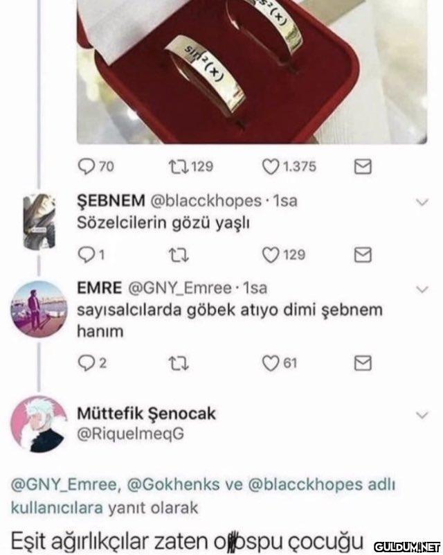 sin²(x) 970 129 ŞEBNEM...