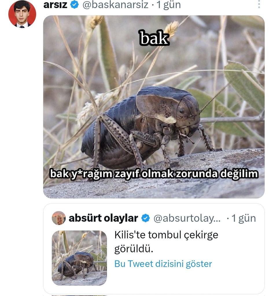 arsız @baskanarsiz . 1 gün...