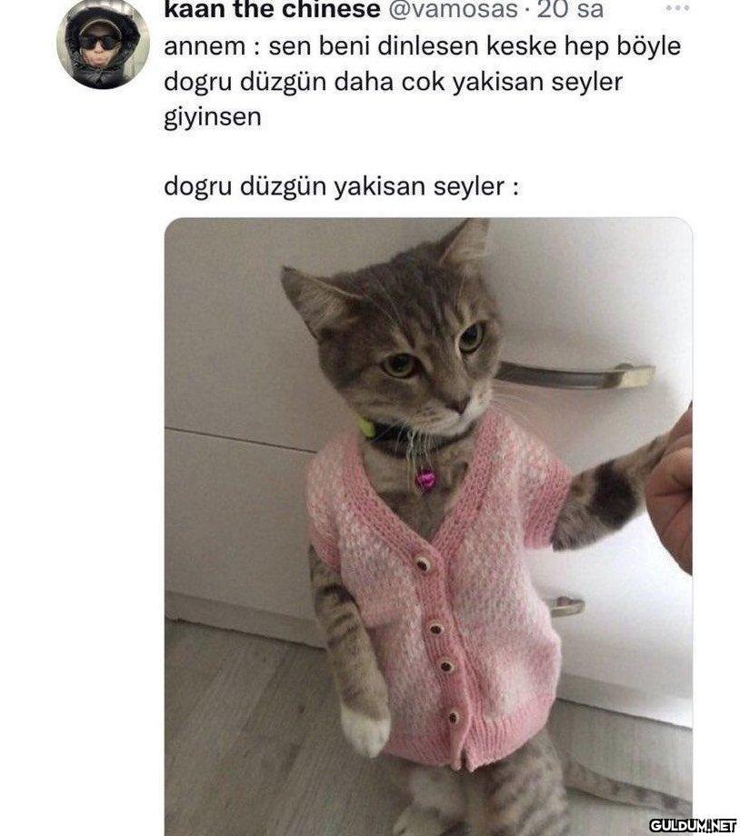 https://t.co/wIrfkfj5wr  ...