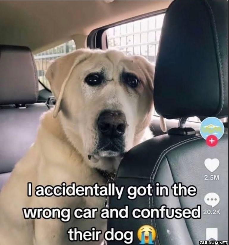 I accidentally got in the...