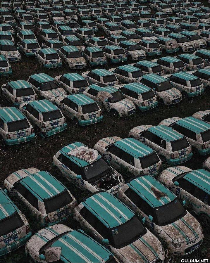 6. Car graveyard after...