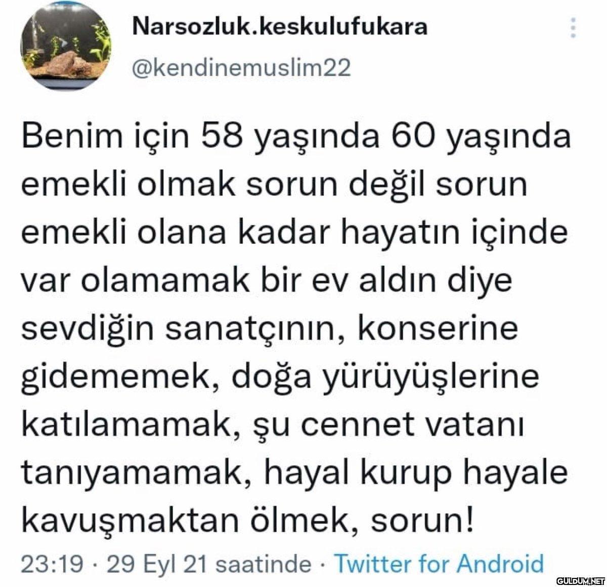 Narsozluk.keskulufukara ....