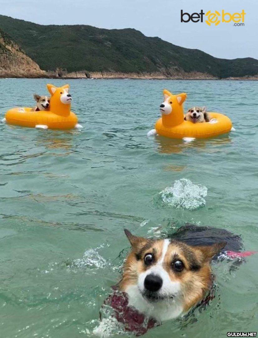 Şu şekil bi tatil benim...