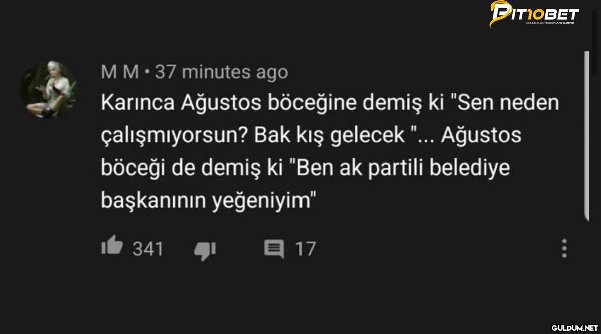 MM. 37 minutes ago Karınca...