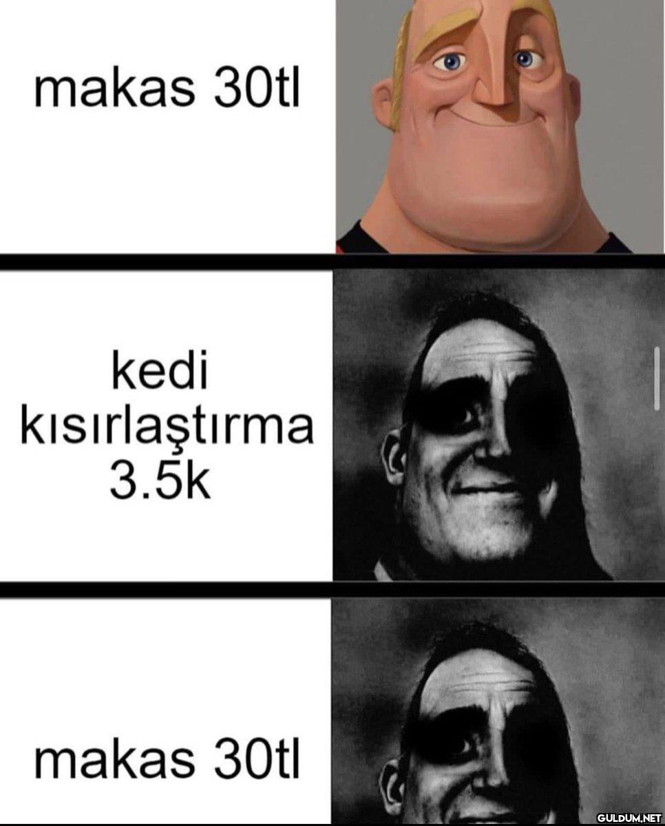 makas 30tl kedi...
